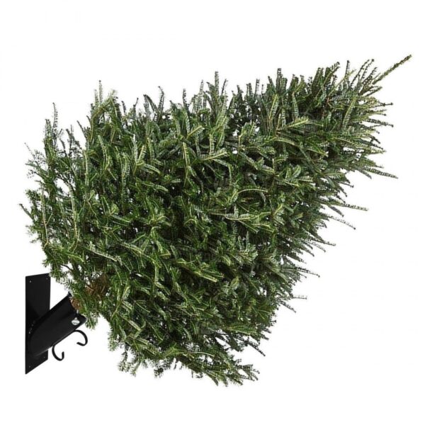 Celebrate The Season With Style Using The Duqaa Wall Mounted Christmas Tree Stand! This 6-Inch Handcrafted Cast Iron Stand Is Perfect For Displaying Your Tree And Enhancing Your Holiday Ambiance. Don't Miss Out! 🎉 #Duqaa #Distributors #Holidaydecor