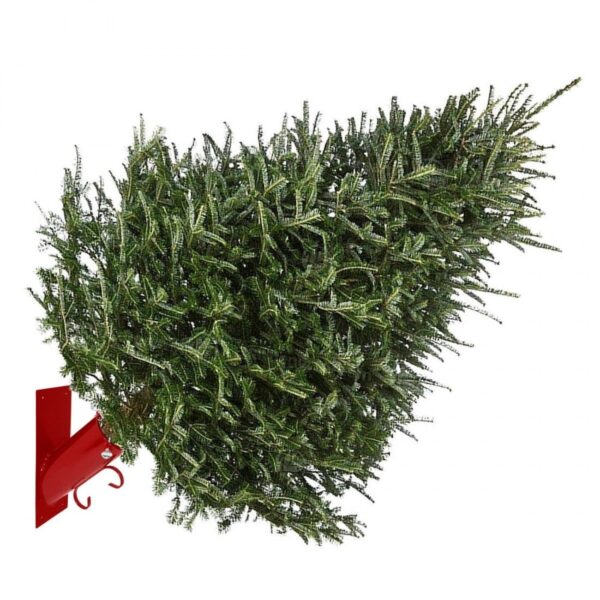 Elevate Your Holiday Decor With The Duqaa Wall Mounted Christmas Tree Stand! 🎄 Handcrafted From Durable Cast Iron, This Classic Stand Combines Elegance And Functionality. Perfect For Showcasing Your Festive Spirit! #Duqaa #Handicrafts #Christmasdecor